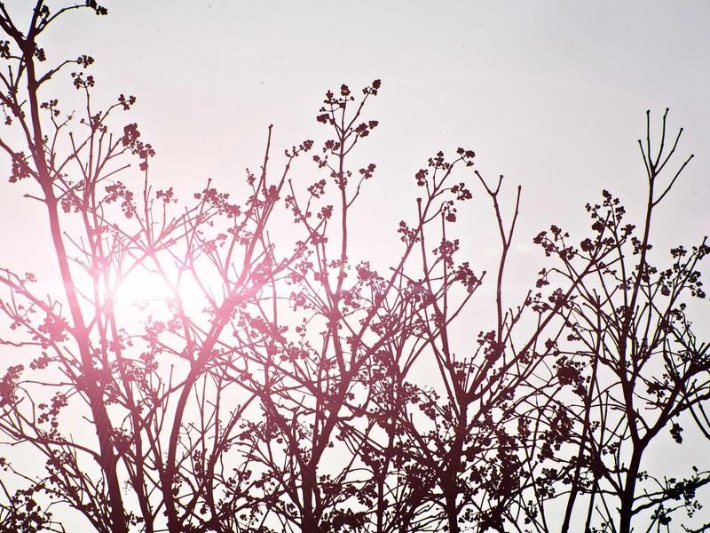 sudoku competition rules